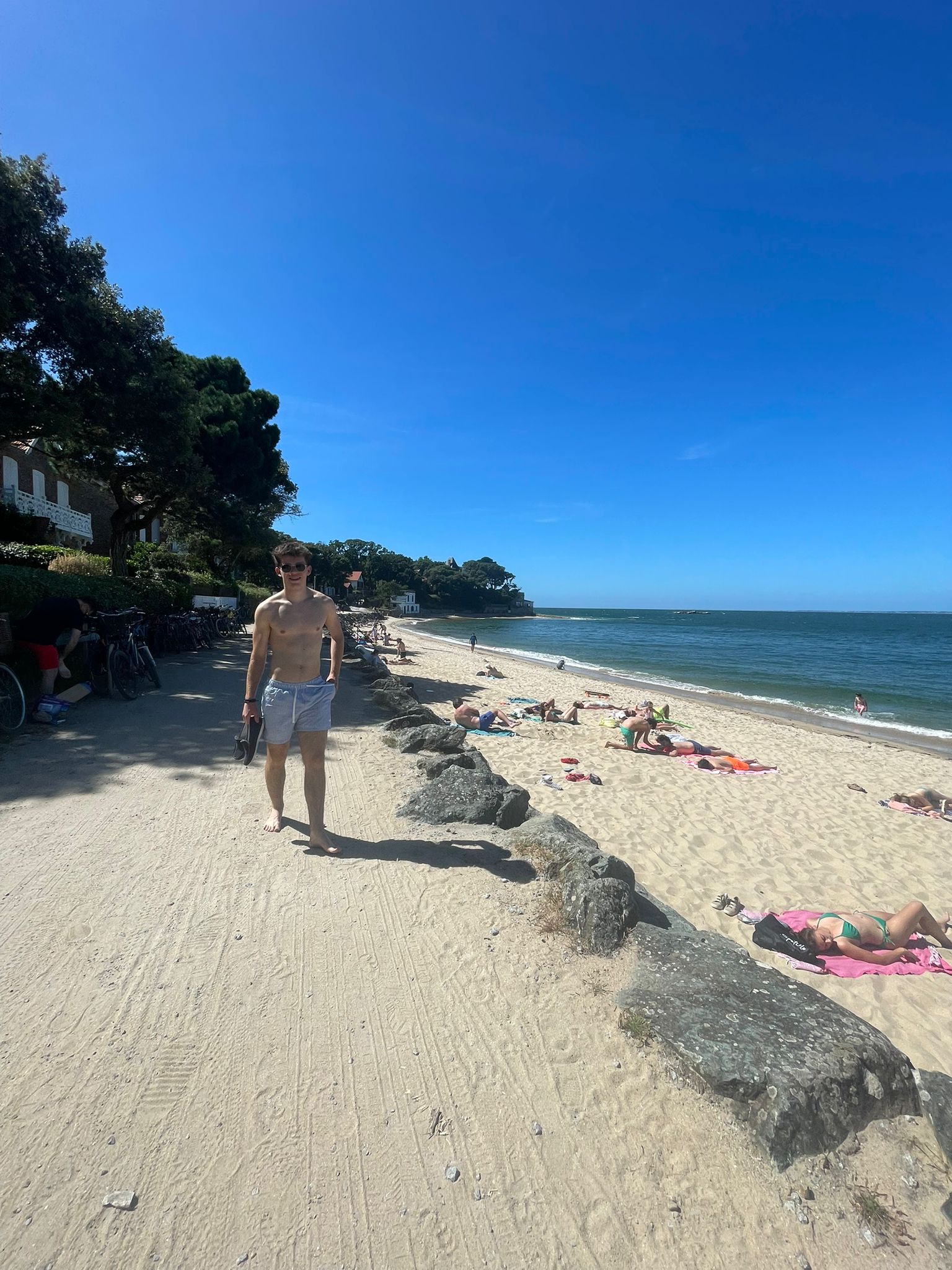 Profilo di Siegfried